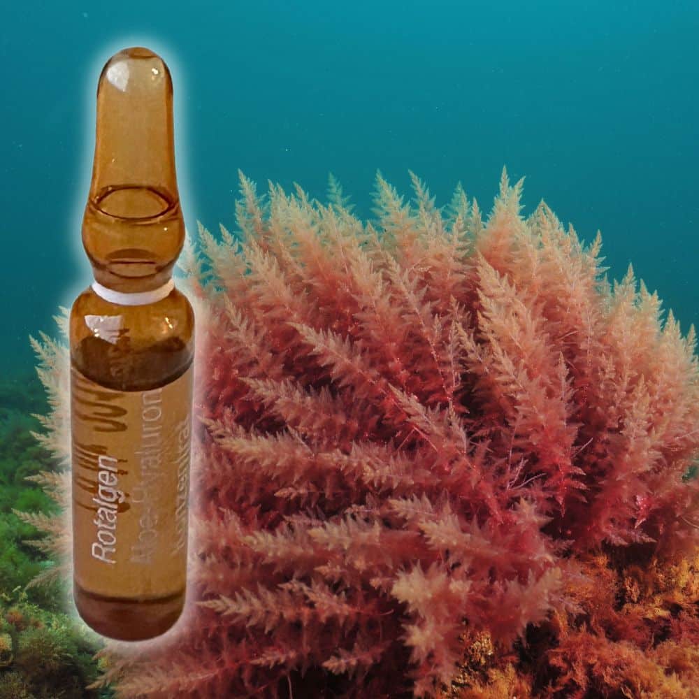 Rødalger i bakgrunnen og en ampulle med serum foran